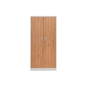 STAHLSCHRANK LICHTGRAU/ERLE (100109)