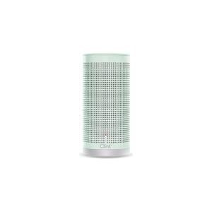 Clint FREYA - Eingebaut - Verkabelt & Kabellos - Bluetooth/3.5 mm - Bluetooth - Mono - Röhre (CLINT-FR14W-MG)