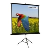 Celexon Economy tripod screen - Projektionsbildschirm mit Stativ - 188 cm (74 ) - 1:1 (1090014)