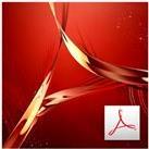 Adobe Acrobat Pro - Upgrade-Plan (Verlängerung) (2 Jahre) - 1 Benutzer - CLP - Stufe 2 (100000-299999) - 200 Punkte - Gebühr für 24 Monate - Win, Mac - Polnisch (65196263AA02A24)