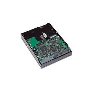 HP - Festplatte - 1 TB - intern - 3.5 (8.9 cm) - SATA 3Gb/s - 7200 U/min - Puffer: 32 MB - für Workstation xw4600, xw6600, xw9400, z200, z400, z600, z800