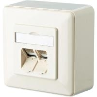 METZ CONNECT BTR E-DAT design 8/8(8) AP - Wanddose - RJ-45 X 2 - Pearl White, RAL 1013 - 2 Ports (1307440001-i)