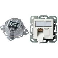 TELEGAERTNER UPDose Cat6/Cl.E double 2xRJ45 alpinwhite AMJ45 (25.16.8650)