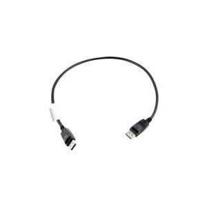 Lenovo - DisplayPort-Kabel - DisplayPort (M) - DisplayPort (M) - 0,5 m (0B47396)