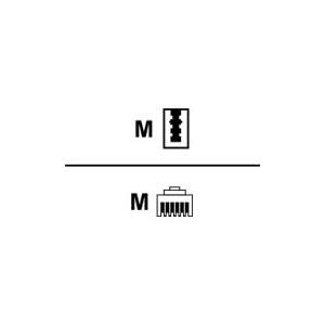 Herweck Helos - Telefonkabel - TAE-N (M) - RJ-12 (M) - 3 m (017729)