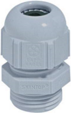 LappKabel Kabelverschraubung PG29 Polyamid Licht-Grau (RAL 7035) SKINTOP® ST PG29 1 St. (53018060)