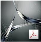Adobe Acrobat Standard - Upgrade-Plan (1 Jahr) - 1 Benutzer - CLP - Stufe 3 (300000-999999) - 18 Punkte - 3-Monate-Gebühr - Win - Polnisch (65197011AA03A03)