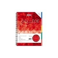 LANDRÉ Register-Collegeblock COLLEGE, DIN A4, kariert 80 Blatt, 70 g/qm, 5-farbige Registerblätter à 16 Blatt - 1 Stück (400065715)