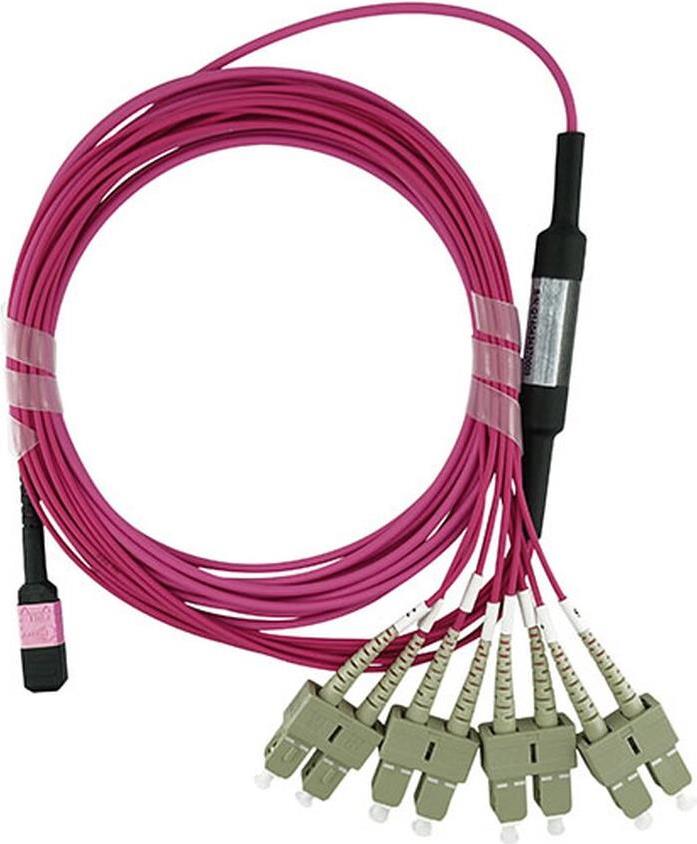 BlueOptics SFP5142FU1MKB cavo in fibra ottica 1 m 4x SC MPO OM4 viola (SFP5142FU1MKB)