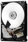 HGST Ultrastar 7K6000 HUS726040ALS210 - Festplatte - 4TB - intern - 8,9 cm (3.5) - SAS 12Gb/s - 7200 U/min - Puffer: 128MB (0F22941) - Sonderposten