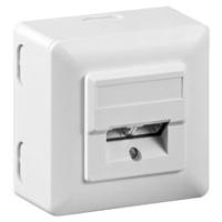 Wentronic Goobay CAT 5e Universaldose inkl. Aufputzmontage-Rahmen, Weiß - Weiß, 2x RJ45 Netzwerkdose, geschirmt (50943)