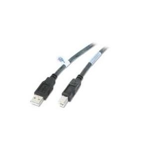 Schneider Electric APC NetBotz NBAC0211L - USB-Kabel - USB (M) bis USB Typ B (M) - USB2.0 - 5,0m - Schwarz (NBAC0211L)