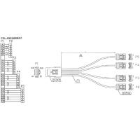 InLine - Internes SAS-Kabel (Serial Attached SCSI) - 4-Lane - 36 PIN 4iMini MultiLane - Serial ATA, 7-polig - 55 cm (27620A)