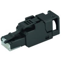 Telegärtner DataVoice Office UFP8 - Netzwerkanschluss - RJ-45 (M) - CAT 6a - IEEE 802,3at - ohne Haken (J00026A3001)