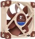 Noctua NF-A8 5V PWM - Gehäuselüfter - 80 mm (NF-A8 5V PWM)