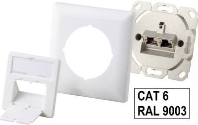 Renkforce Netzwerkdose Wand Einsatz mit Zentralplatte und Rahmen CAT 6 2 Port NDU-6003 Alpinweiß (9003) (RF-3345004)
