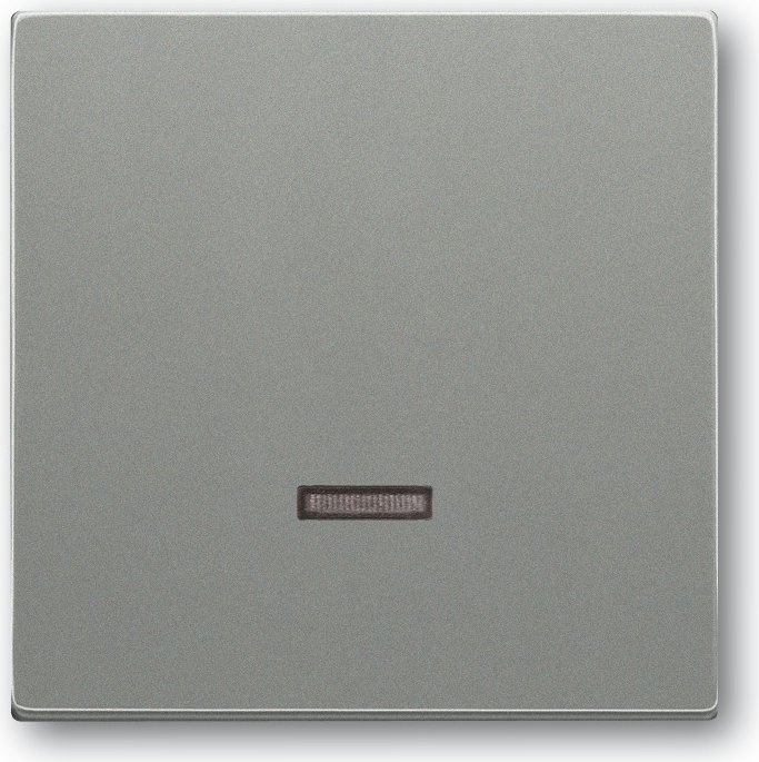 Busch Jaeger 6599-0-2942 Lichtschalter Grau Kunststoff (6599-0-2942)
