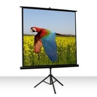 Celexon Economy tripod screen - Projektionsbildschirm mit Stativ - 1:1 (1090015)
