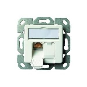 Telegärtner AMJ45 - Ausgang - RJ-45 X 2 - Pearl White (J00020A0390)