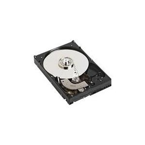 Dell Customer Kit - Festplatte - 900 GB - Hot-Swap - 2.5 (6.4 cm) - SAS 6Gb/s - 10000 U/min - für PowerEdge M520, M820, R220, R320, R820, R920, T110, T320, T420, PowerVault MD3420, MD3820