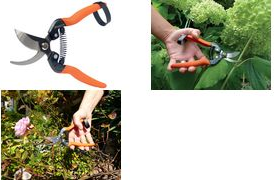 Garten PRIMUS Gartenschere RosenWunderschere Klingen aus unlegierten Hartstähle & mehrfach gehärtet, - 1 Stück (01045)