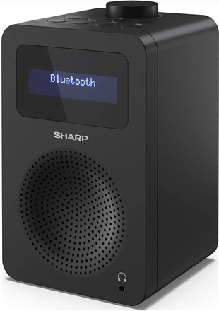 Sharp DR-430 Personale Digitale Nero (DAB radio - DR-430 Black)