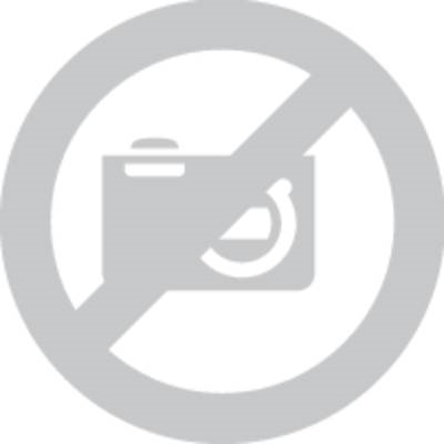Rittal AX 2433.510 Wandhalterung Edelstahl 4 St. (2433510)