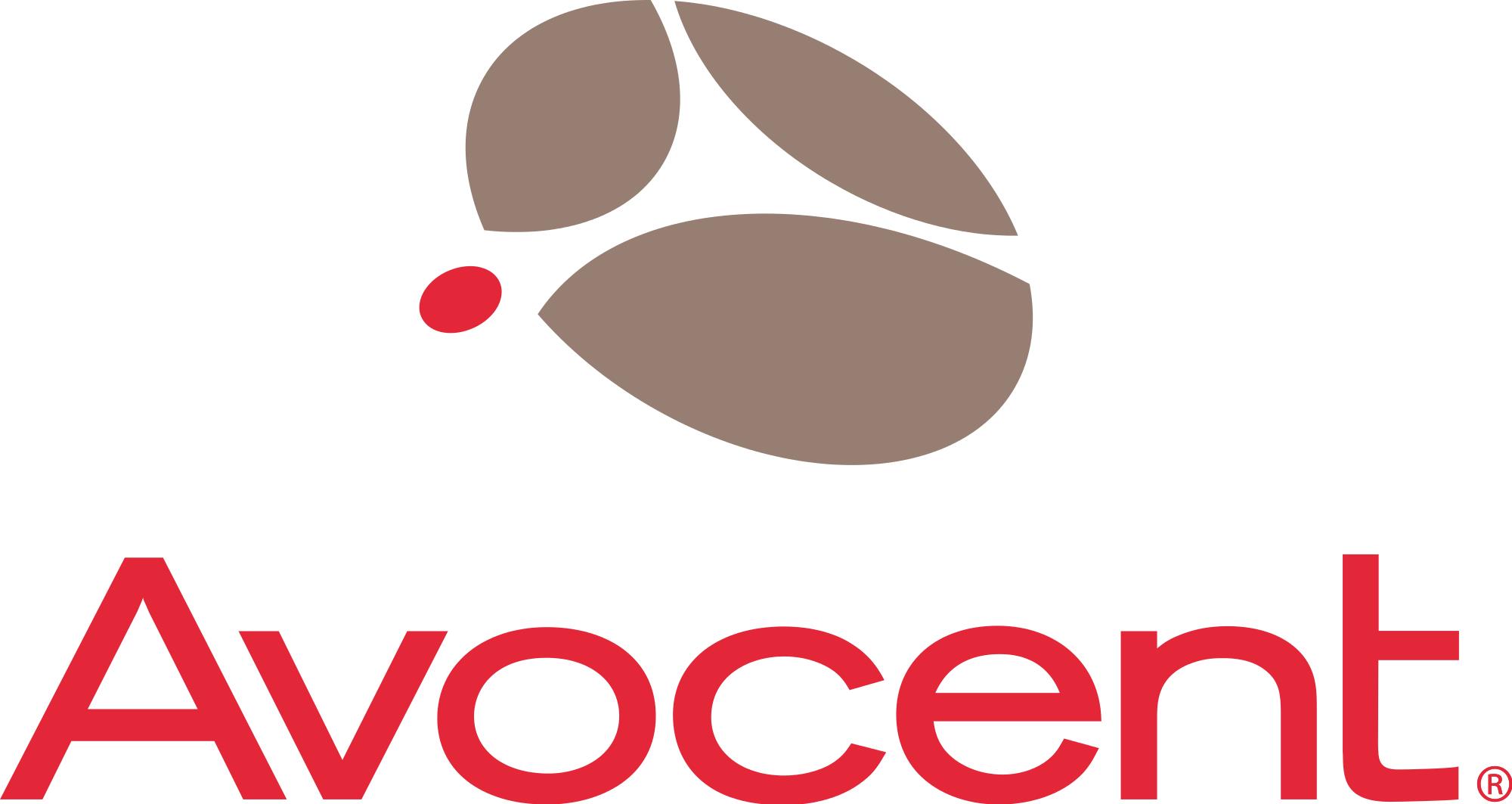 Vertiv Avocent Data Center Planner - Lizenz - 1 aufgestelltes Anlagegut - Volumen - Stufe 3 (100-249) - Linux, Win (DCP-L3-249-V040)