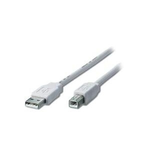 equip Digital Data - USB-Kabel - USB Typ A, 4-polig (M) - USB Typ B, 4-polig (M) - 1.8 m (USB / Hi-Speed USB) (128210)