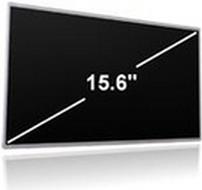 MicroScreen MSC34884 Anzeige Notebook-Ersatzteil (538312-001)