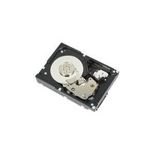 Dell - Festplatte - 900 GB - Hot-Swap - 2.5 (6.4 cm) - SAS - 10000 U/min - für PowerEdge M520 (2.5), M620 (2.5), M820 (2.5), R220, VRTX M520 (2.5), VRTX M620 (2.5)