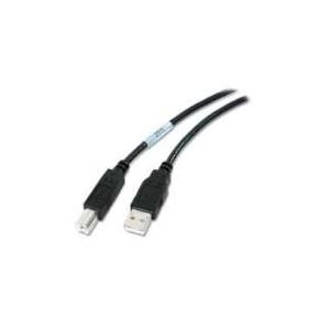 Schneider Electric NetBotz - USB-Kabel - USB Typ A, 4-polig (M) - USB Typ B, 4-polig (M) - 5,0m - verteilt (NBAC0211P)