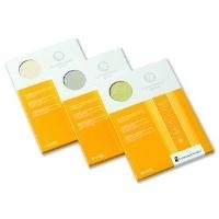 PAPYRUS Elefantenhaut, DIN A4, 110 g/qm, chamois 100 Blatt (88001577)