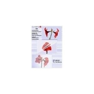 OLYMPIA - Laminiertes Band - durchsichtig - A6 (105 x 148 mm) - 100 Stck. (9178)
