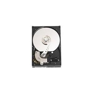 Dell Enterprise - Festplatte - verschlüsselt - 2 TB - intern - 3.5 (8.9 cm) - SATA 3Gb/s - 7200 U/min - für PowerEdge R220, T20, T20 Mini Tower Server