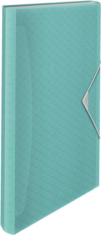 Esselte Projektmappe Colour'Ice, A4, PP, 6 Fächer, blau 5 Fächer mit Beschriftungstaben inkl. Beschriftungs - 1 Stück (626252)