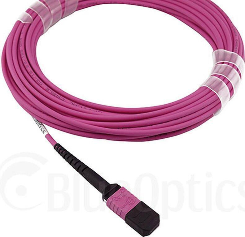 Cavo trunk MTP in fibra ottica OM4 12 core 1 metro tipo A