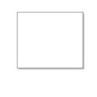 Seiko - Etiketten - 51 x 60 mm - 220 Stck. - für Smart Label Printer 220, Pro (16.06.2041)
