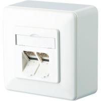 BTR IT CONNECT E-DAT C6 8/8(8) AP Cat.6 - Wanddose - RJ-45 X 2 - Pure White, RAL 9010