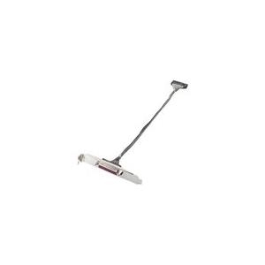 HP Parallel Port Adapter - Parallel-Adapter - IEEE 1284 - für Business Desktop dc5800, dc5850