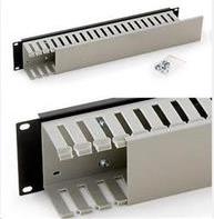 Triton 48,30cm (19) panel 2U with cable trunking (RAB-VP-X04-A1)